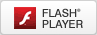 FLASH PLAYER